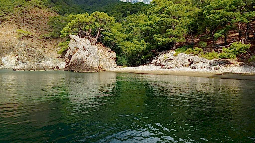 Akseki koyu tekne turu